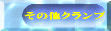 ̑Nv