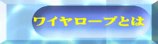 C[vƂ